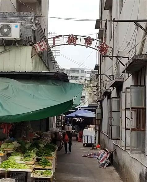 广东江门，《狂飙》旧厂街市场拍摄地有人竖牌“拍视频5元1人”，警方：正在处理_手机新浪网