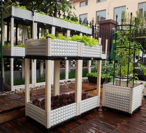 楼顶种菜怎么搭建菜园(在屋顶露台种菜3招变成小菜园) - 拾味生活