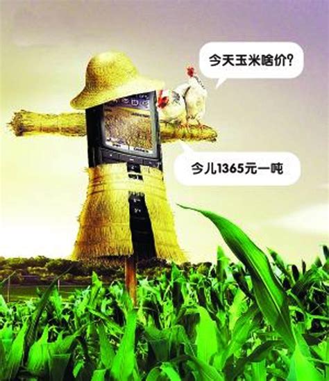 智慧农业系统推广视频设计|影视|宣传片|豆果er - 原创作品 - 站酷 (ZCOOL)