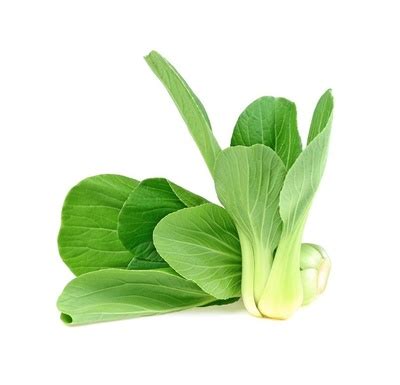 帝王菜又名“独菜”_[标签:标题1]