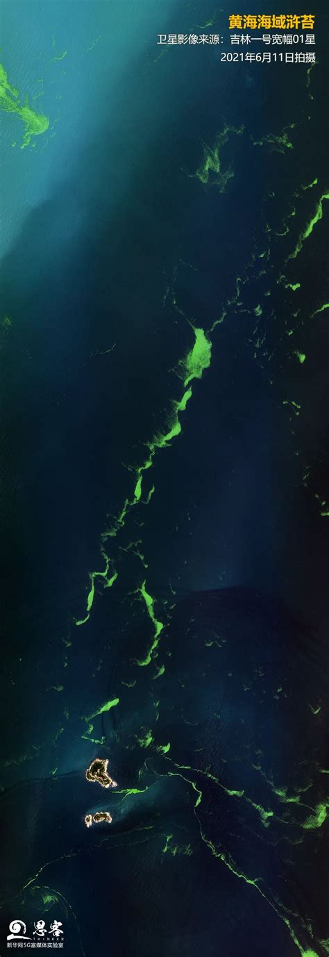 研究进展 - 我所实施黄东海浒苔海藻卫星遥感应急监测 - 中国科学院南京地理与湖泊研究所