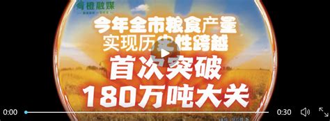 把展区最佳位置留给388个脱贫县！第五届中国粮食交易大会今天在郑州开幕-大河新闻