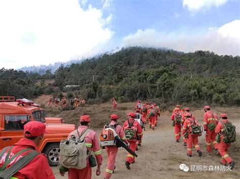 云南玉溪森林火灾烧到昆明境内 14集团军救援_手机新浪网