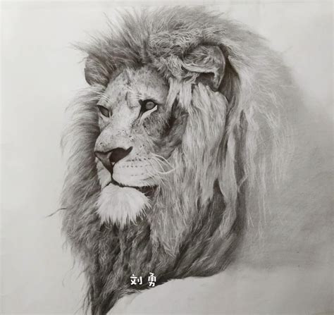写实彩铅画『狮子』|纯艺术|绘画|一兮手绘 - 原创作品 - 站酷 (ZCOOL)