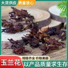 肾兰花图片