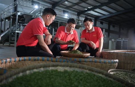 魏贵林——三百年制茶传人、国家高级评茶师、中国制茶大师 - 知乎
