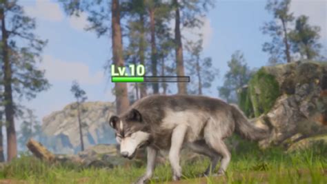 Special动物主题重度策略游戏《Wolf Game》掀起狼族崛起风潮_狼群_The_Kingdom