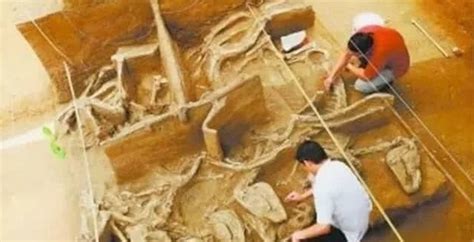 南水北调挖出7米“巨龙”，有6000年历史印记，龙真的存在？