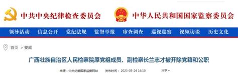 广西壮族自治区人民检察院原党组成员、副检察长兰志才被开除党籍和公职-大河网