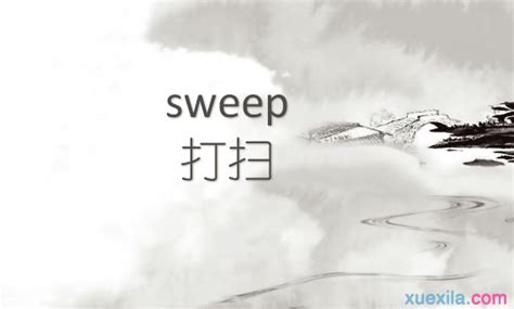 sweep是什么意思中文_sweep - 随意云