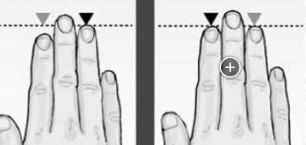 无名指的肝点位置图片,无名指图片食指,无名指是哪个手指图片_大山谷图库