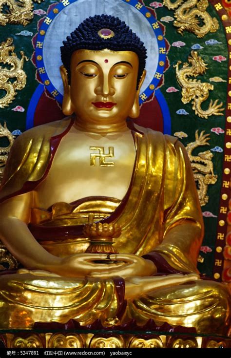 梵天寺的释迦摩尼佛像高清图片下载_红动网