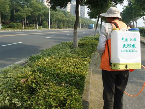 上海绿化施工队、上海绿化临时工、绿化施工队_上海正翔绿化工程有限公司_园林网