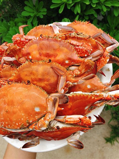螃蟹的做法大全 分享20种螃蟹花样做法
