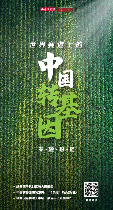陕西省种业集团 - 玉米 - MC738
