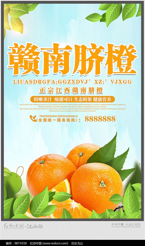 赣南脐橙宣传海报图片_海报_编号9874559_红动中国