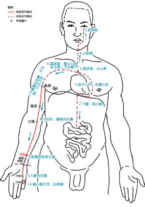 针灸经脉穴位图则之四十一（任脉经脉图则之二）_中医理论_99养生堂