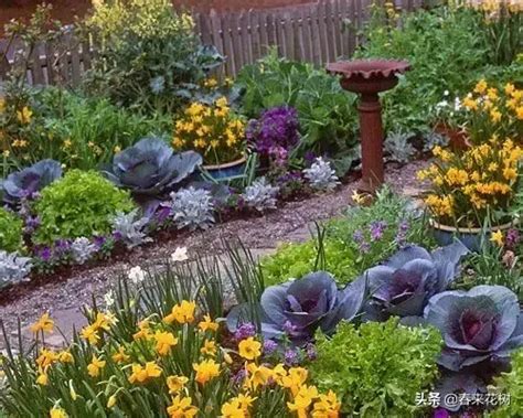 “我家小菜园”种植达人作品分享点赞“有礼”，总值过万元奖品等你来拿