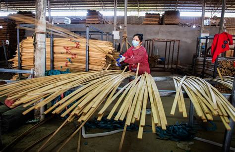 竹乡擘划新篇章：一根竹子生出80亿元全产业链 - 区县动态 - 湖南在线 - 华声在线