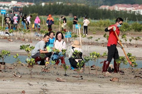 海南三亚：植树节海边共植数千株红树林苗-人民图片网