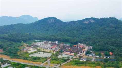 2010年被评为广州十大特色古村落，距今649年历史