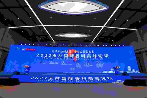 2022中国调料行业大会暨玉林国际香料高峰论坛成功举办- 南方企业新闻网