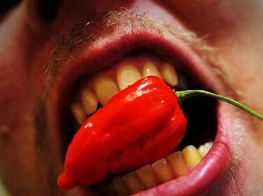 世界上最辣的五大辣椒排行榜，第一名被称为“龙之呼吸”！