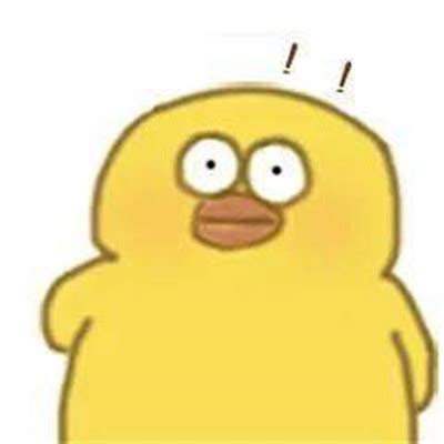 小黄鸭头像图片
