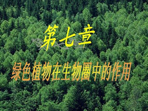 绿色植物在生物圈中的作用(shangke)_word文档在线阅读与下载_无忧文档