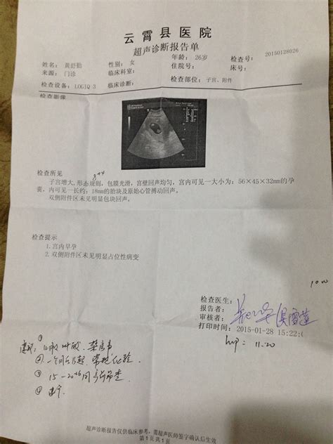 早孕b超单子图片
