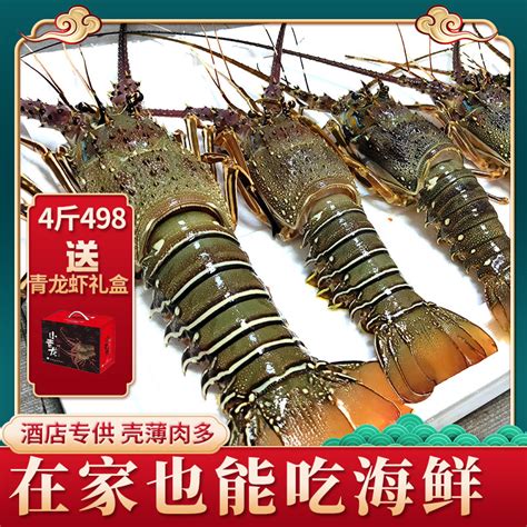 东山岛大龙虾小青龙虾500g-1-2只海鲜鲜活冷冻水产龙虾-淘宝网