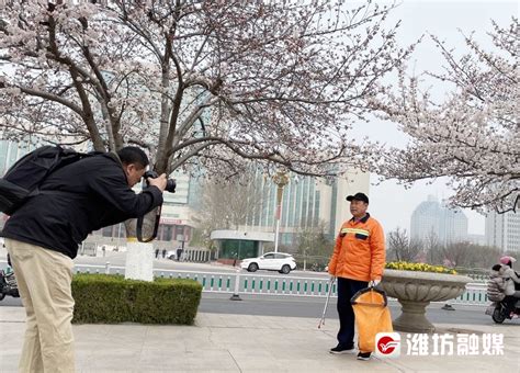 张记者拍照啦·在樱花树下留张“工作照”，真好！ - 潍坊新闻 - 潍坊新闻网