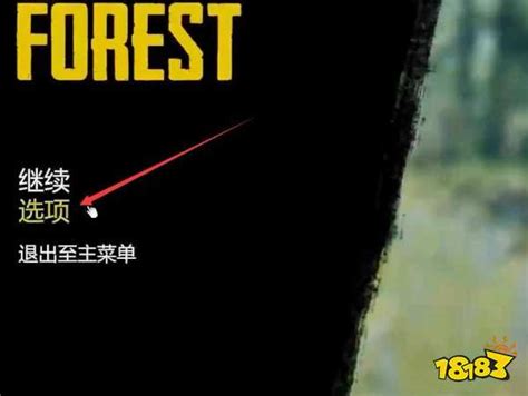 森林怎么显示队友名字 队友名字显示教程_18183森林专区