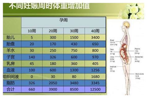 2020中国宝宝身高体重对照表，看看你家宝宝达标了没_月龄