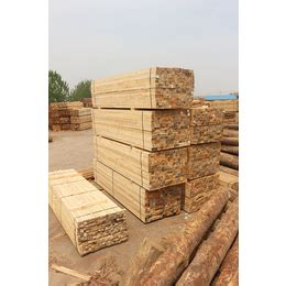 专业木材类进口-