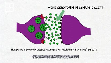 选择性血清素再摄取抑制剂（SSRIs）择性血清素再摄取抑制剂即SSRI……_新浪新闻