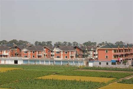农村住房建设试点启动，政府统一规划建房 - 越律网