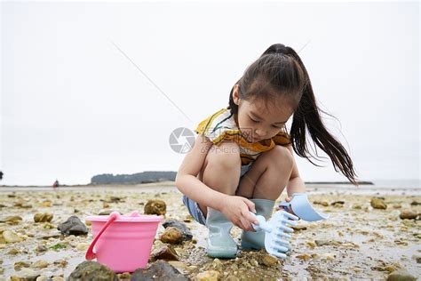 在海边捡石子的一家人高清图片下载-正版图片502217775-摄图网