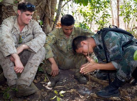 中美澳士兵澳洲训练野外生存 丛林狩猎共享美食_手机凤凰网