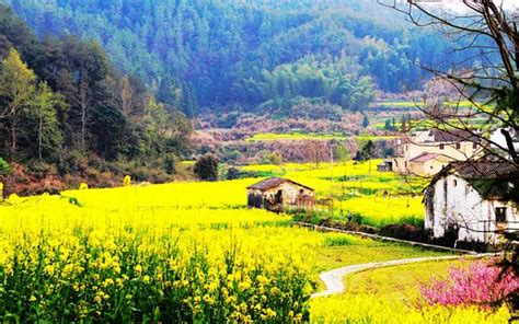 中国最美的乡村婺源,高清壁纸,风景图片-回车桌面