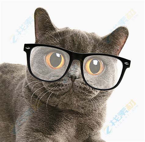 为什么有的人戴眼镜好看，有的人不戴眼镜好看？眼镜可以修饰哪些五官的不足? - 知乎