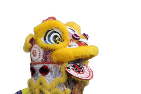 狮王,舞狮服装,狮子舞蹈,中国功夫,演出服,表演艺术活动,传统服装,灵性,平衡,狮子摄影素材,汇图网www.huitu.com