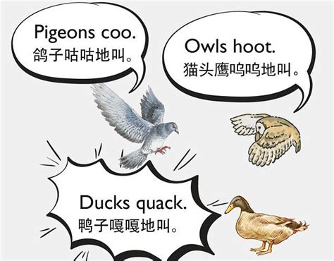 自然界中有各种声音 如何用英语来描述动物的叫声？_教育_腾讯网