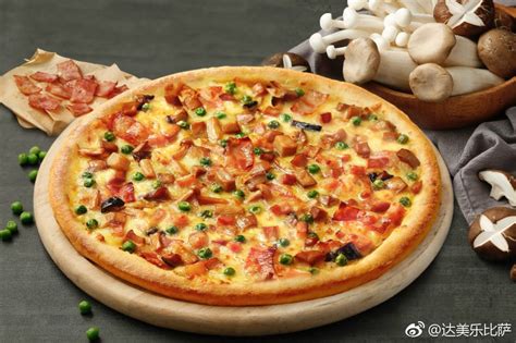 达美乐披萨是哪个国家的-达美乐比萨菜单一览表-趣丁网