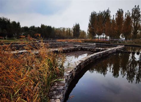 咸阳渭柳湿地公园：在城市中寻回自然风光 - 自然 - 陕西网