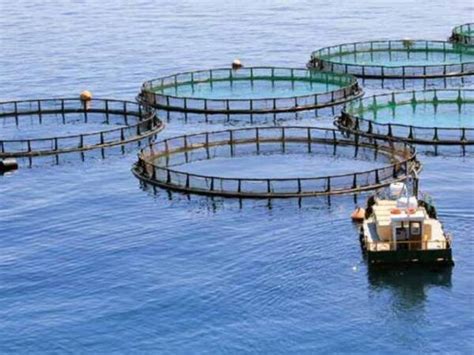 低成本工厂化循环水养殖高密度室内养鱼养虾设备