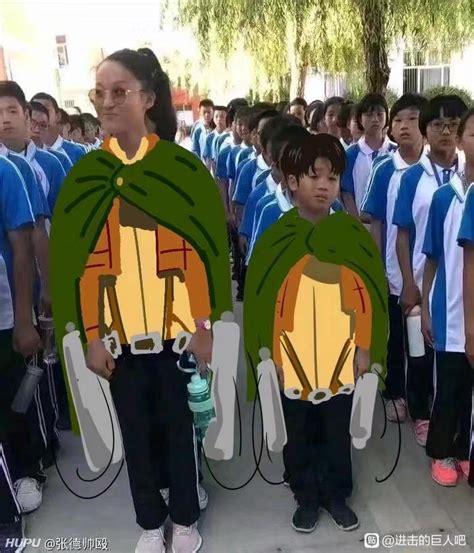 维尔利特正片图片