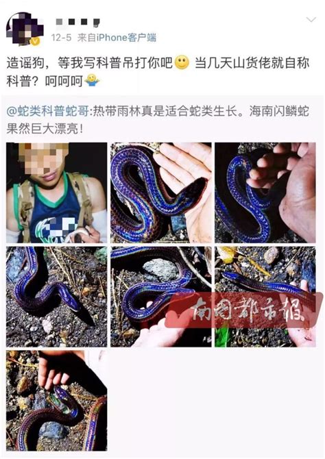 网红直播捕蛇被指获利数百万元！自导自演在海南发现神秘蛇种，已被警方刑拘