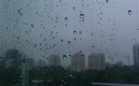 雨不休！今明两天广东珠三角等地雨势较强 大部地区有雾来“扰”_国内_海南网络广播电视台