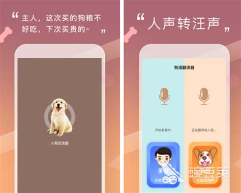 动物翻译软件下载大全2022 最新翻译动物语言的app下载推荐_豌豆荚